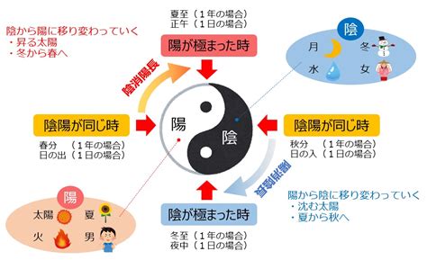 陰陽五行 動物|陰陽五行とは？その影響や太極図も解説